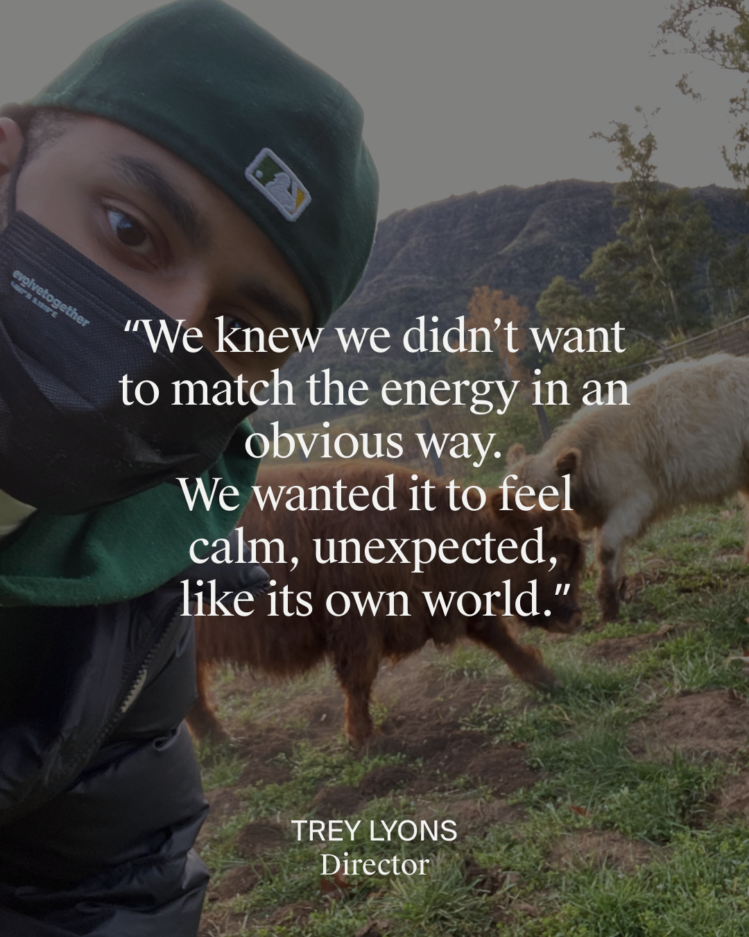 Quotes + Testimonials