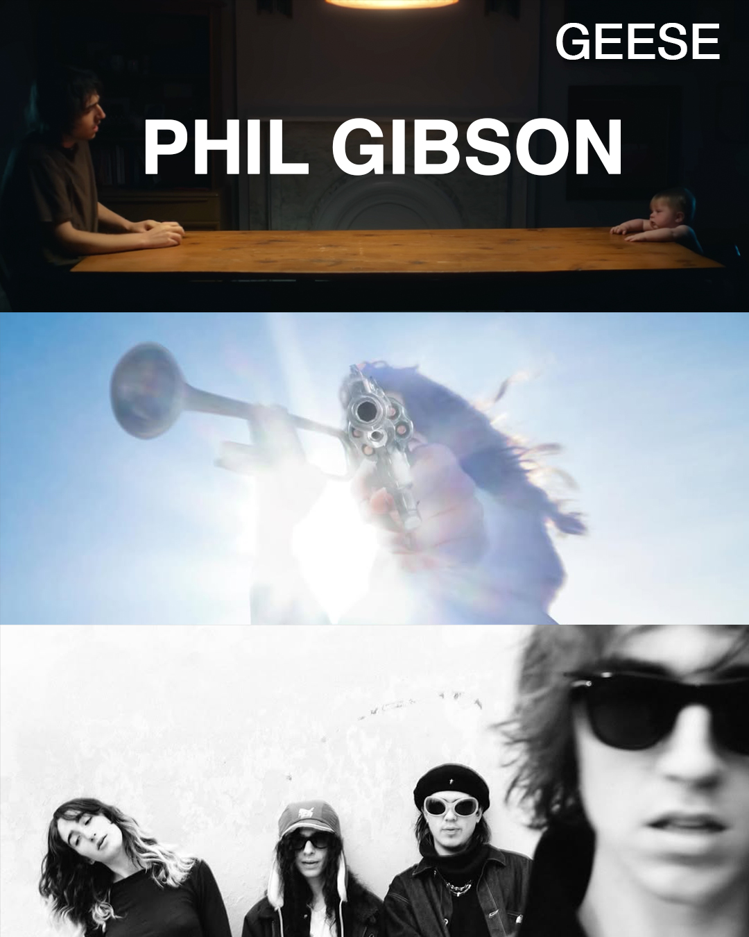 Geese  Phil Gibson CD