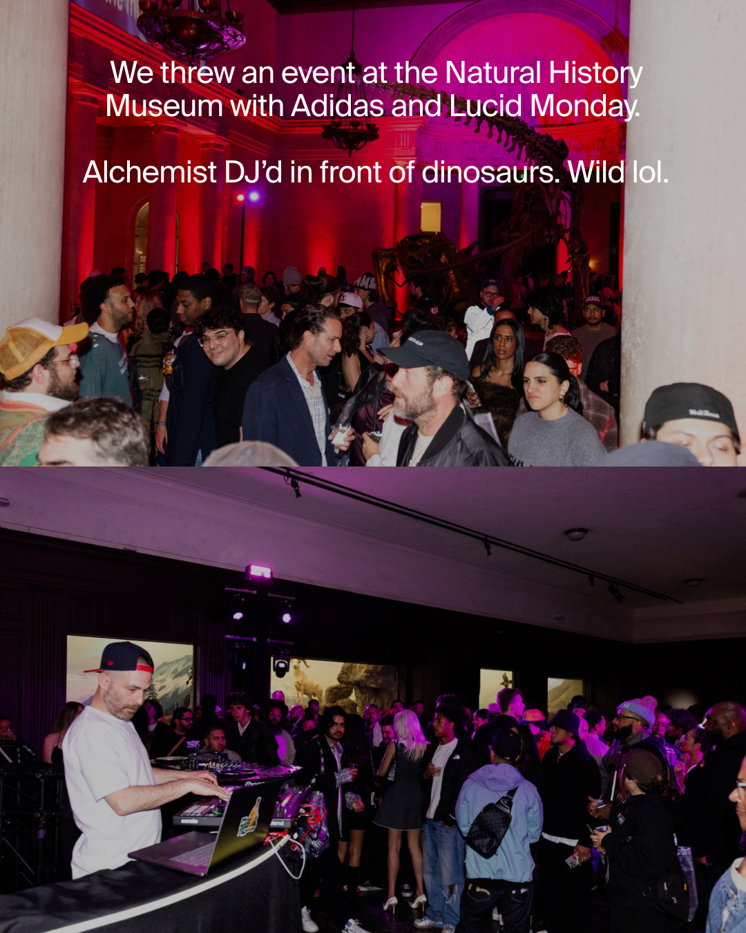 What You Missed Cover9