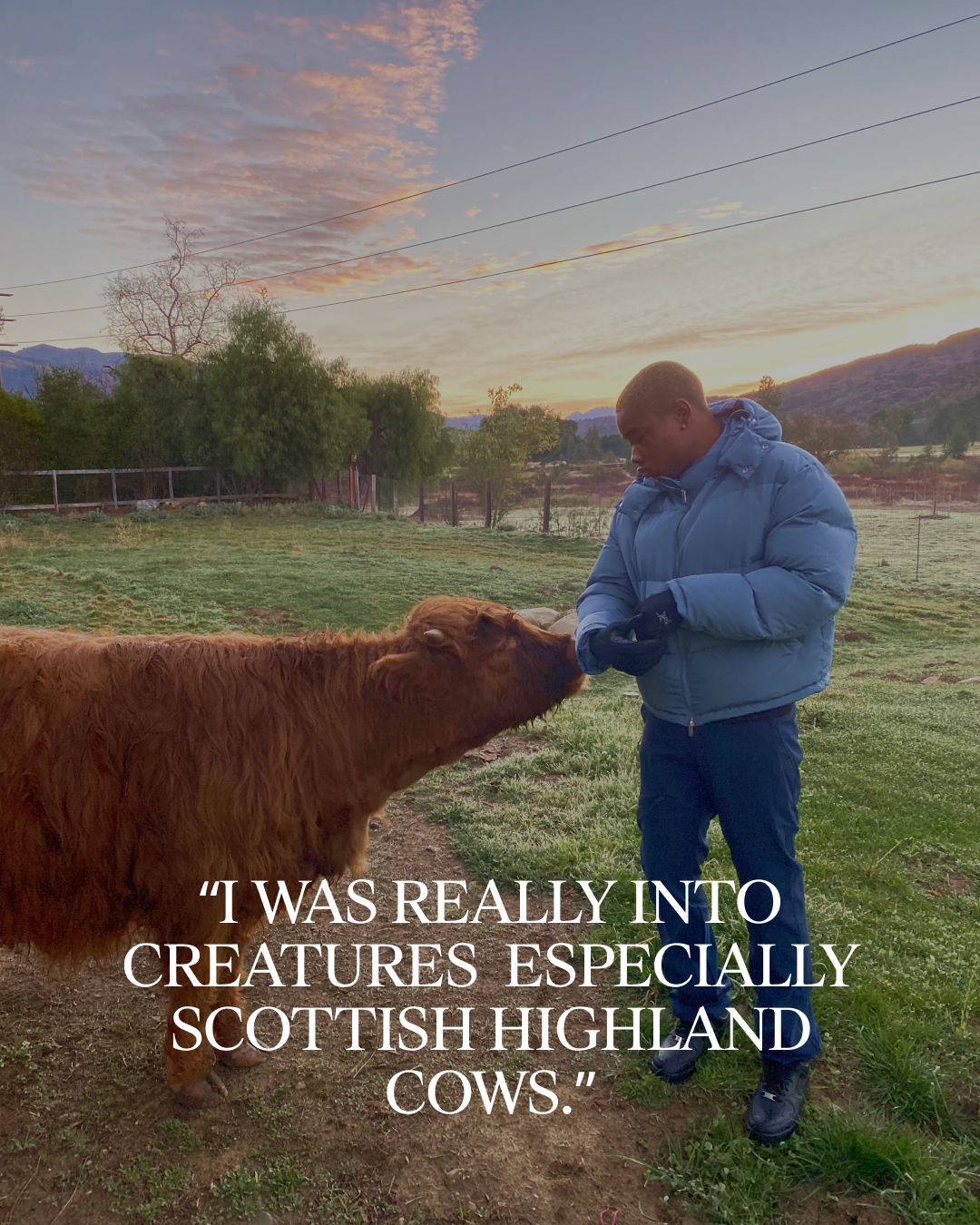 Quotes + Testimonials (1)